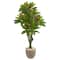5ft. UV Resistant Plumeria Artificial Tree in Decorative Planter